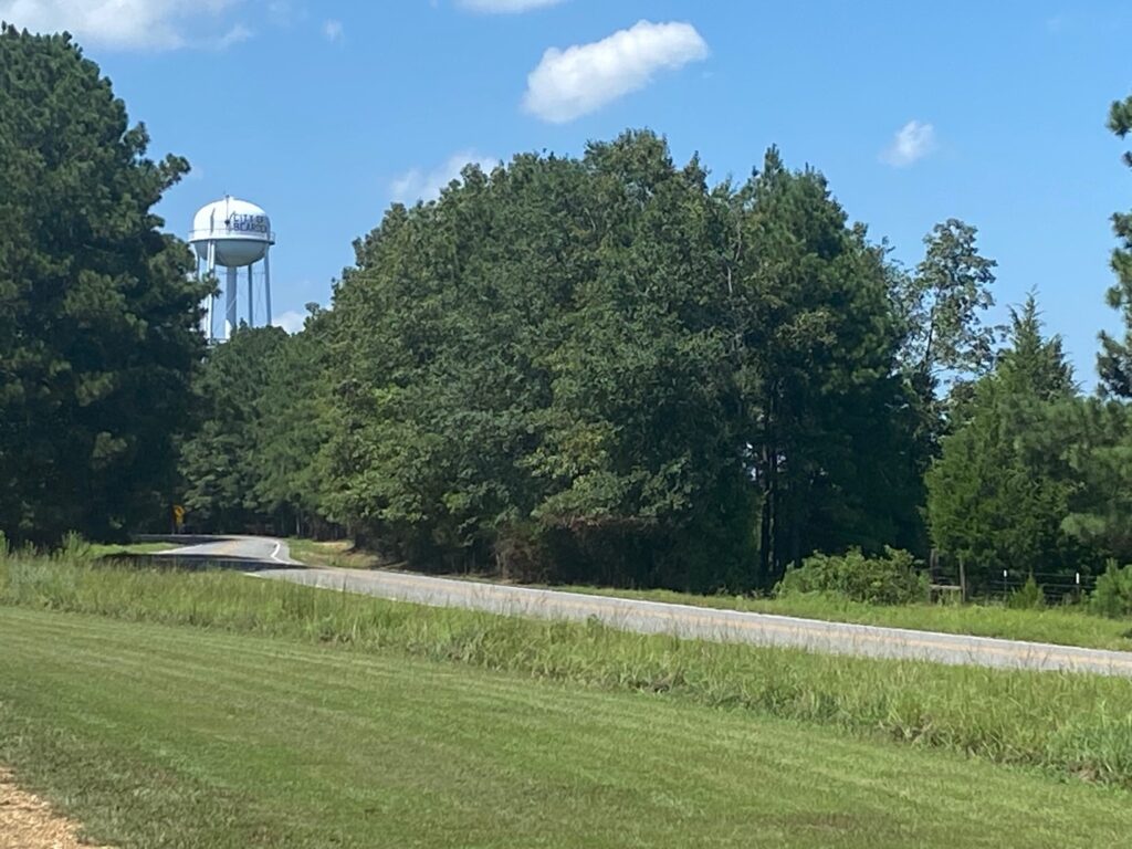 A road with trees and a water tower in the background

Description automatically generated